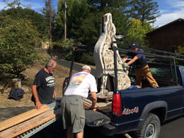 trucking the coyote